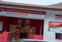 Besok, Menteri Ekraf RI Tinjau KKMP Bende Kendari untuk Perkuat Ekosistem Ekonomi Kreatif