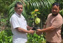 Dukung Produktivitas Pertanian, PT Hoffmen Energi Perkasa Beri Bantuan Bibit Kakao ke Petani Konsel