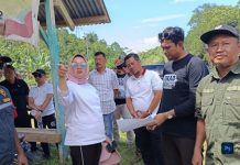 Wali Kota Kendari Tinjau Sembilan Lokasi Pembangunan Gerai KKMP