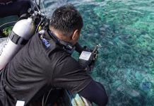 Ungkap Biodiversitas Pulau Wawonii, Peneliti: Kolaborasi Multipihak Jadi Kunci