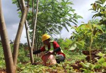 Menutup Triwulan I 2026, Reklamasi PT GKP Pulihkan 23,75 Hektare Lahan Pascatambang di Konkep