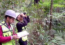 Kolaborasi Pemantauan Biodiversitas PT GKP Ungkap Spesies Baru di Pulau Wawonii