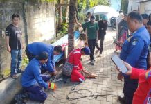 Buaya Naik ke Darat Dekati Permukiman Warga Lalolara, Damkar Kendari Bergerak Cepat