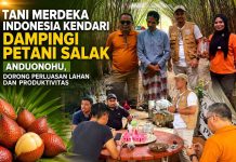 Petani Salak Anduonohu Siapkan Varietas Pondoh, TMI Kendari Beri Dukungan Pengembangan