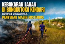 Kebakaran Lahan di Bungkutoko Kendari Berhasil Dipadamkan, Penyebab Masih Misterius