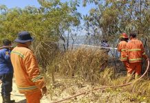 Damkar Kendari Gerak Cepat Padamkan Kebakaran Lahan di Wundudopi, Api Cepat Dikendalikan