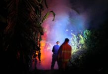 Bakar Sampah Picu Kebakaran Lahan di Punggolaka, Api Nyaris Merembet ke Permukiman