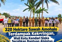 320 Hektare Sawah Amohalo Terdampak Kekeringan, Wali Kota Kendari Siska Serahkan Bantuan Alsintan