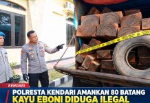 Polresta Kendari Amankan 80 Batang Kayu Eboni Diduga Ilegal, Dua Orang Diamankan